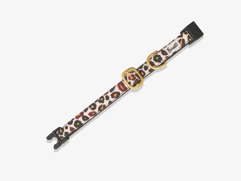 Collier pour chat motif léopard