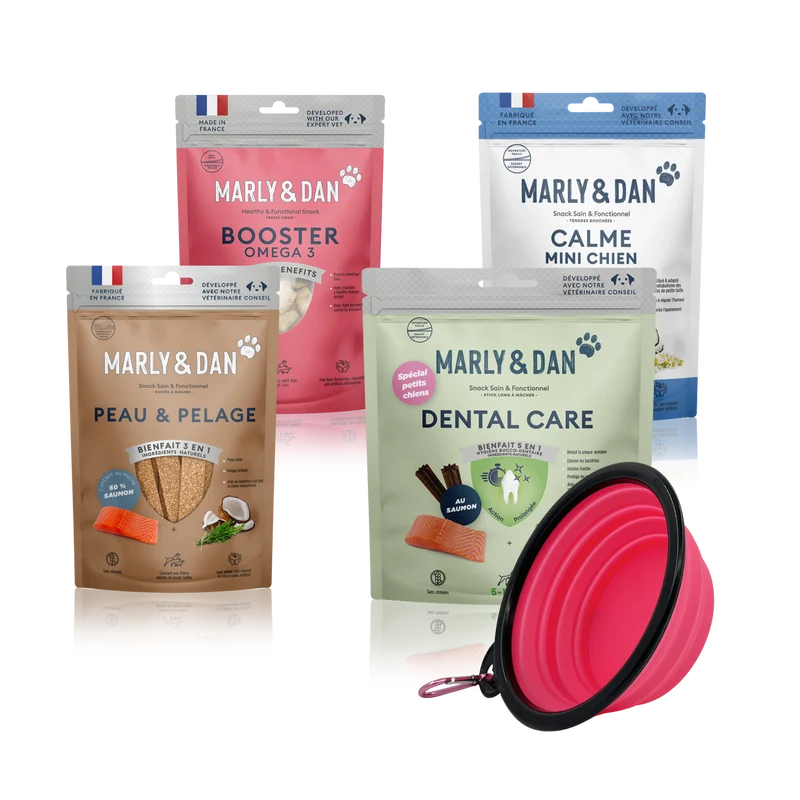 Lot 4 friandises Marly & Dan petit chien + gamelle offerte
