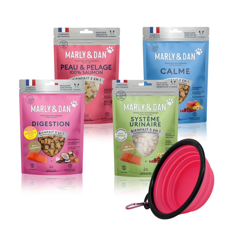 Lot 4 friandises Marly & Dan chat + une gamelle offerte