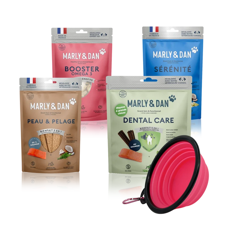 Lot 4 friandises Marly & Dan moyen/grand chien + gamelle offerte