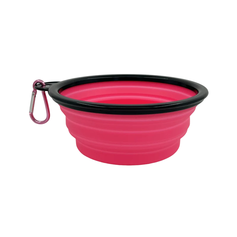 Gamelle pliable en silicone avec couvercle