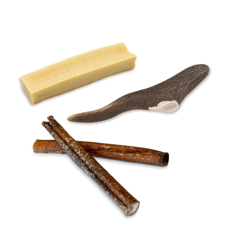 Pack mastication : l'occupation naturelle (Moyen/Grand)