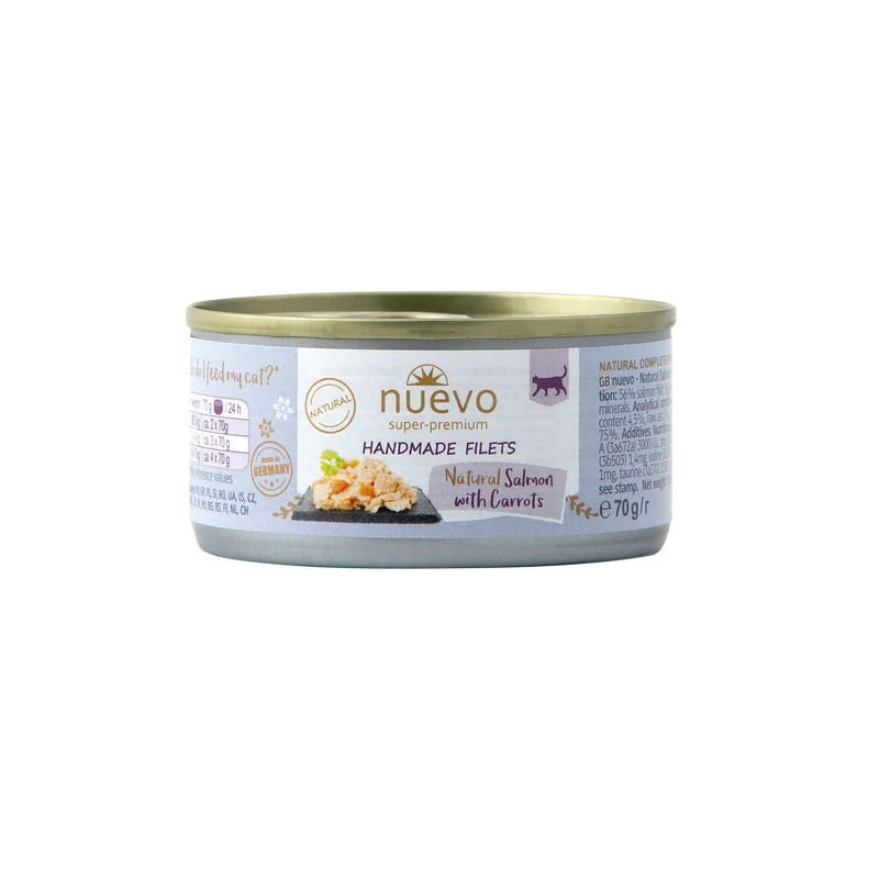 Filet de saumon et carotte