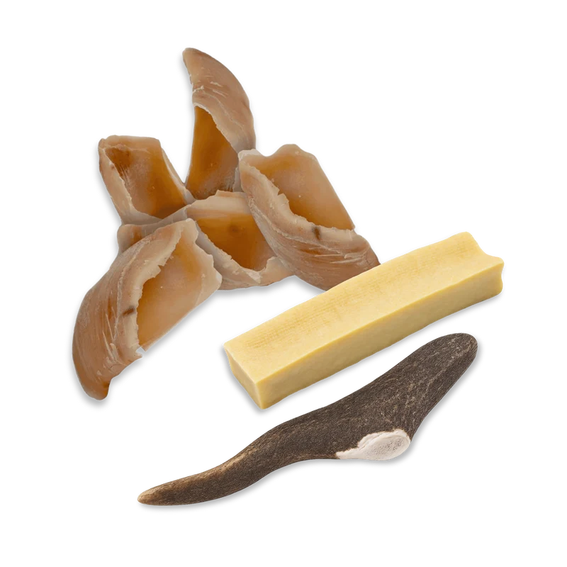 Pack mastication : l'occupation naturelle (Petit/Moyen)