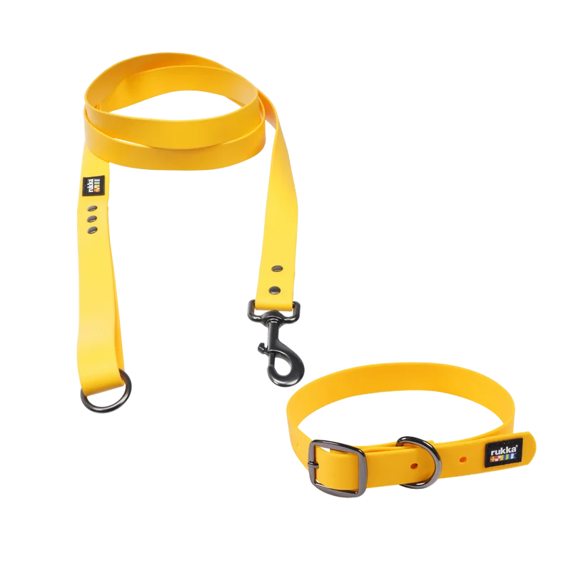 Collier et laisse Biodipro