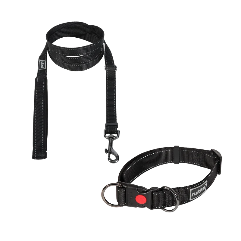 Collier + Laisse noir