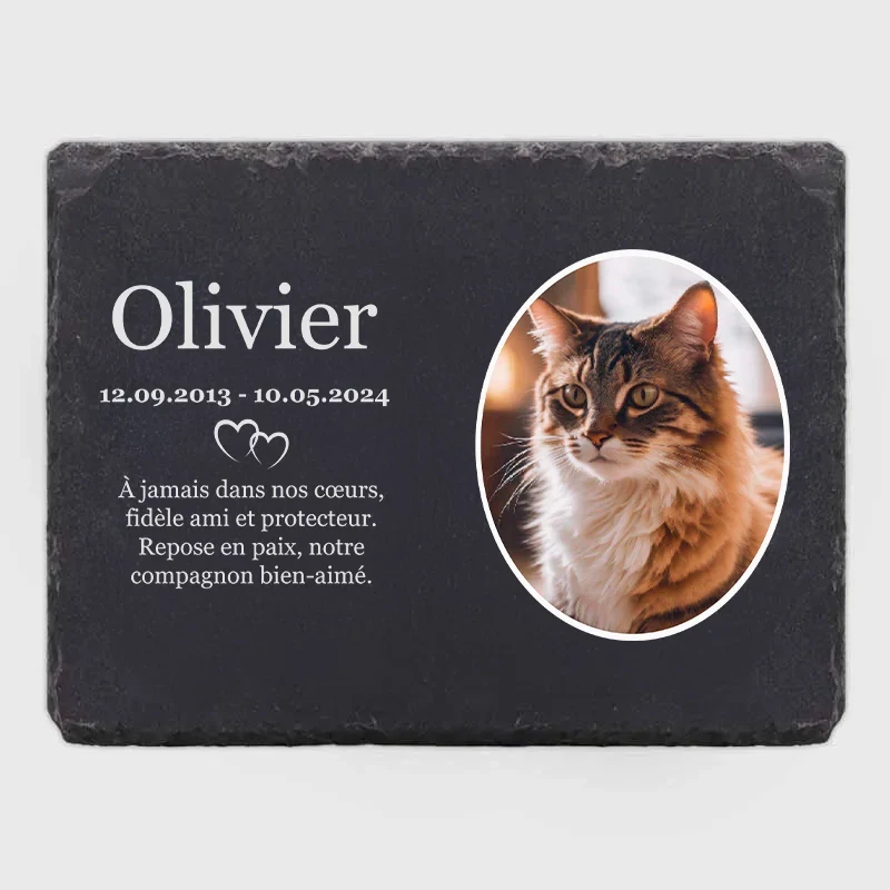 Pierre tombale personnalisée avec photo pour chien, chat - Cœurs, 3 tailles | Plaque funéraire en ardoise pour animaux