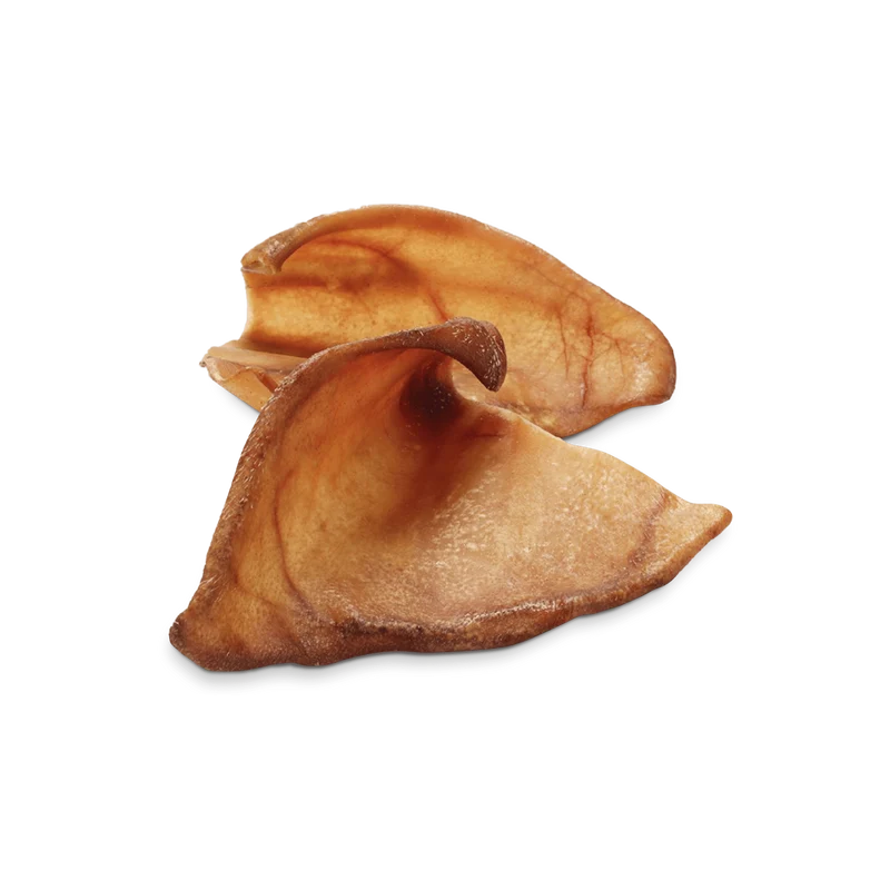 OREILLES DE PORC