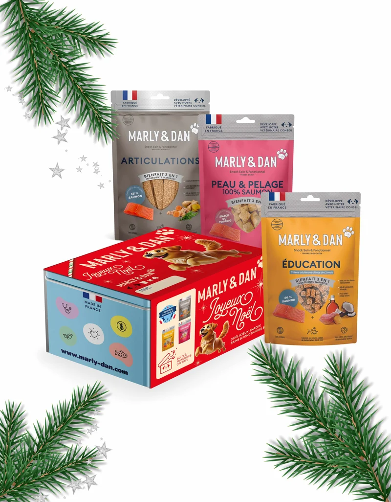COFFRET FRIANDISES CHIEN