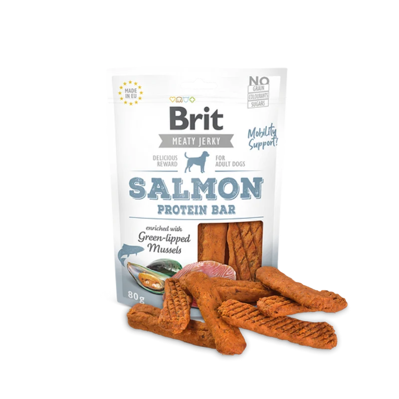 SALMON PROTEIN BAR