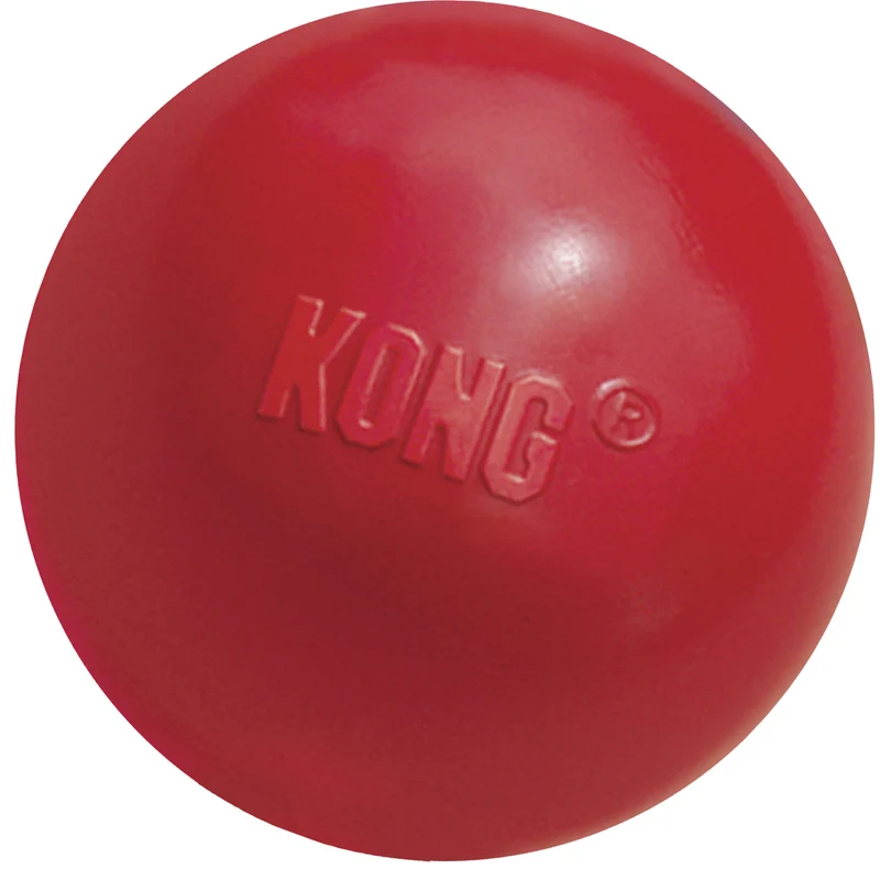 Hundespielzeug KONG® Ball