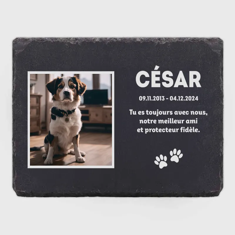 Plaque tombale personnalisée avec photo pour chien, chat - Souvenir, 3 tailles | Pierre commémorative pour animaux