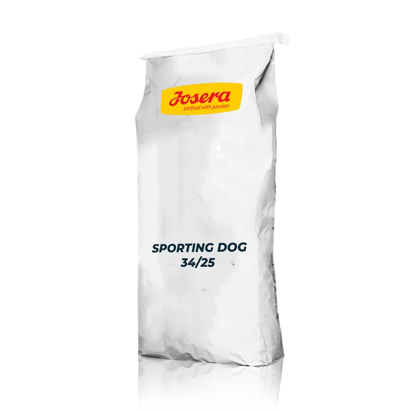 SPORTING DOG