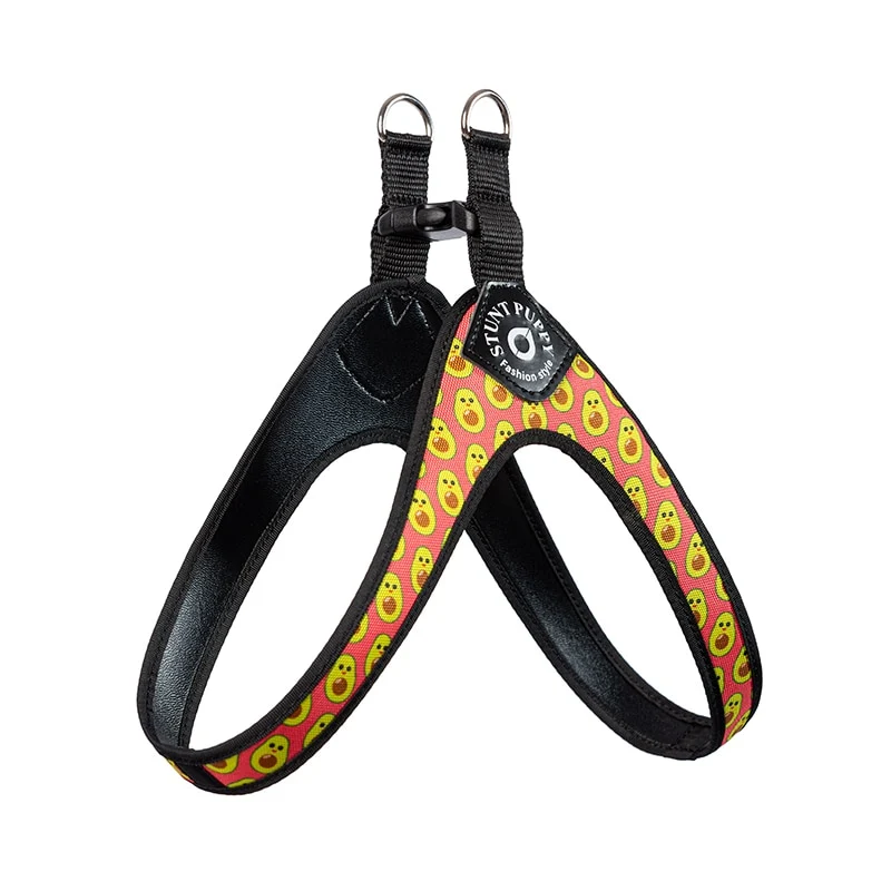Harnais pour Chien design