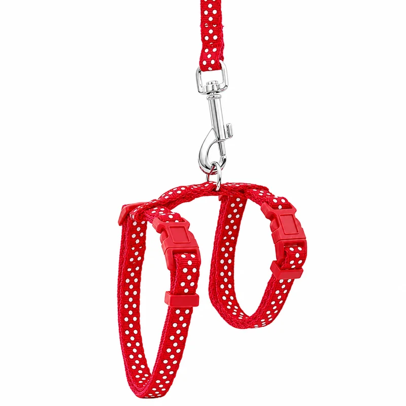 Laisse pour Chaton Réglable avec Point en Nylon
