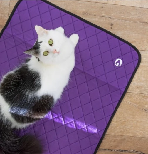 Tapis d'hygiène drypop 85x60 cm - Chien, Chat