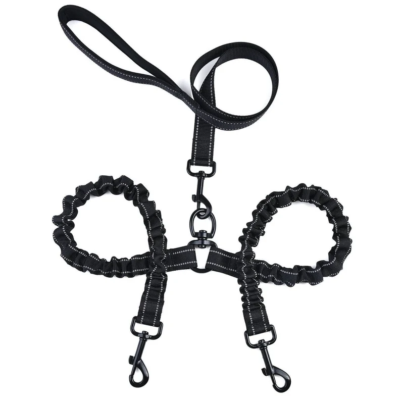 Laisse double pour 2 chiens