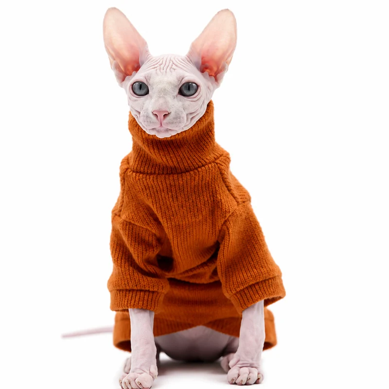Pull Chat Élégant et Confortable