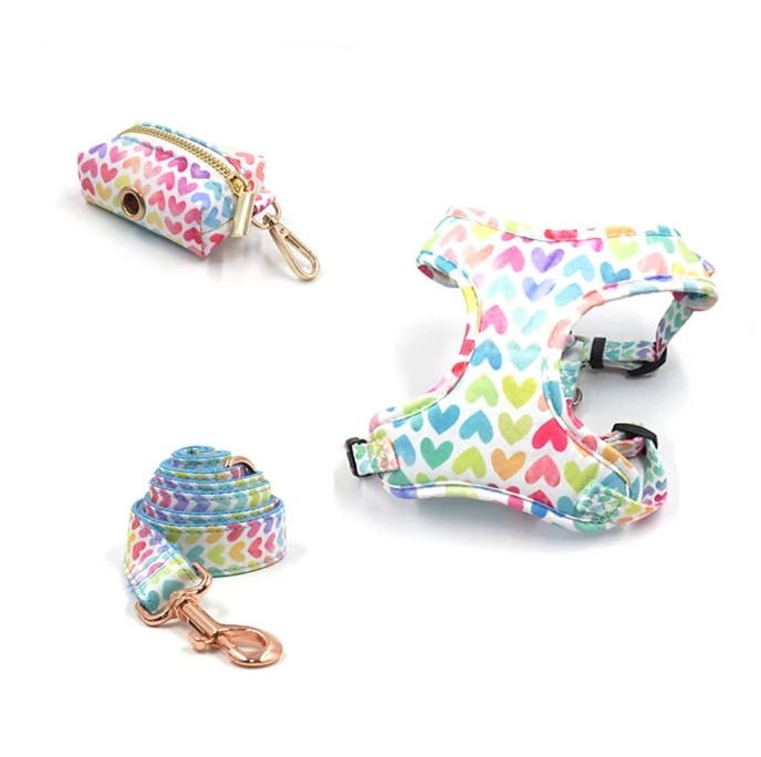 Ensemble "Love" pour chien