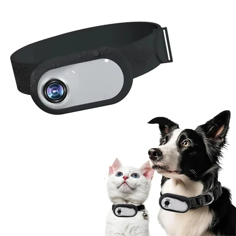 CYCLO - Collier avec Camera pour Chat et Chien