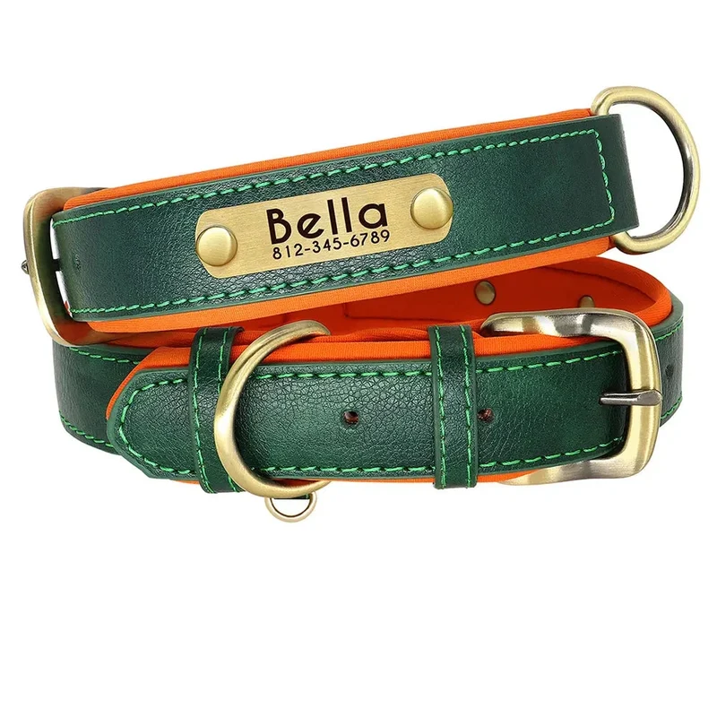 Collier Personnalisé pour Chien en Cuir