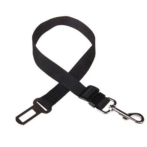 Ceinture de Sécurité pour Chien en Voiture
