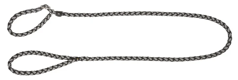 Laisse avec collier intégré réfléchissante