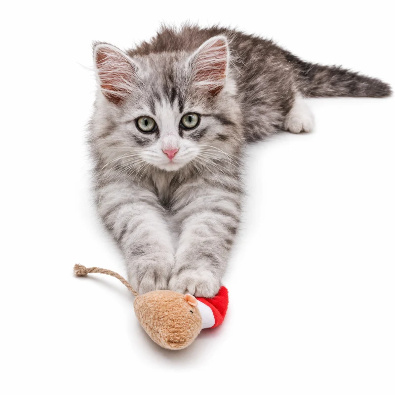 Jouet pour Chat Souris de Noel