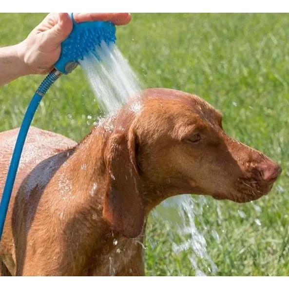 Brosse douche pour chien " Forever "