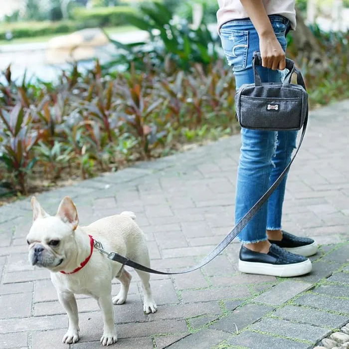 Sac Little dog