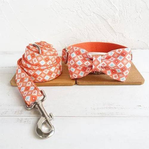 Laisse et collier noeud pap " Vintage "