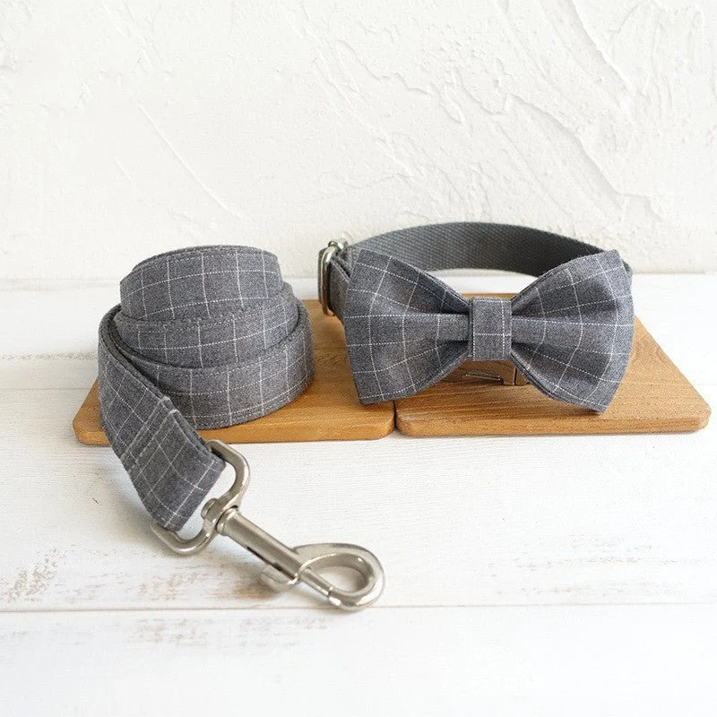 Laisse et collier " Grey "