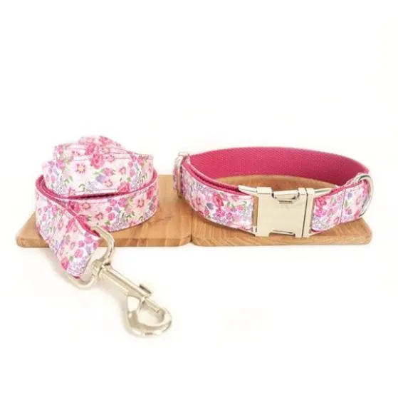 Laisse et collier " Rosa "