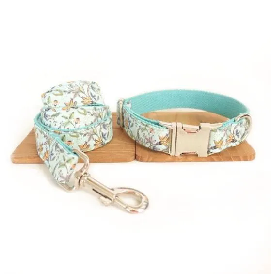 Laisse et collier " Lucia "