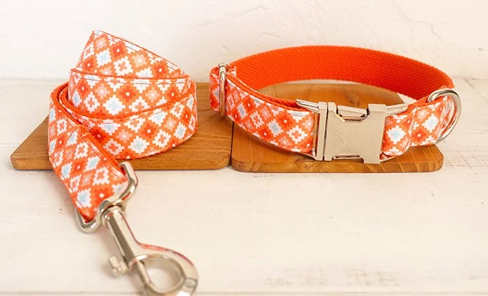 Laisse et collier " Mia "
