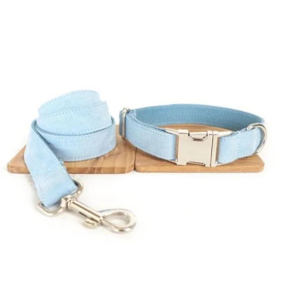 Laisse et collier " Ice "