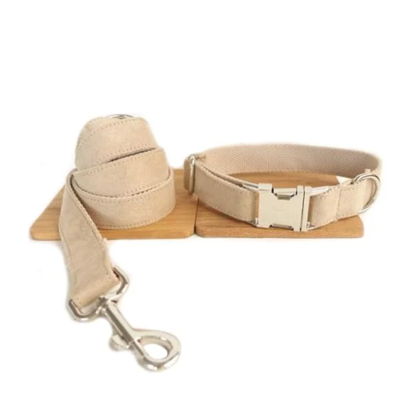 Laisse et collier Abril