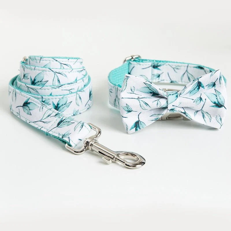 Laisse et collier " Alma "