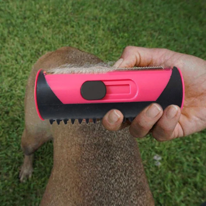 Brosse "My dog"
