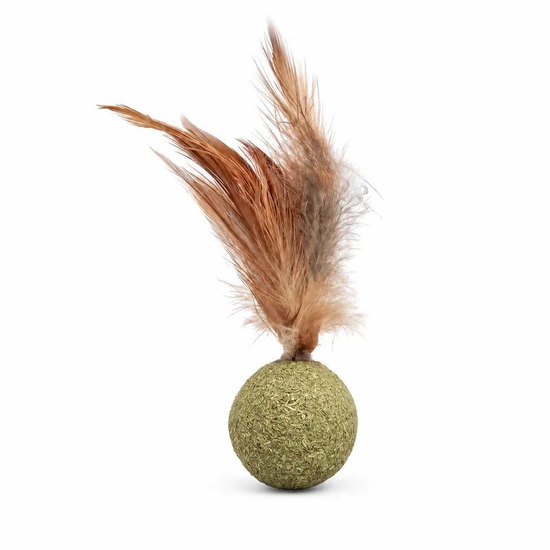 Herbe à Chat Ronde avec une Plume