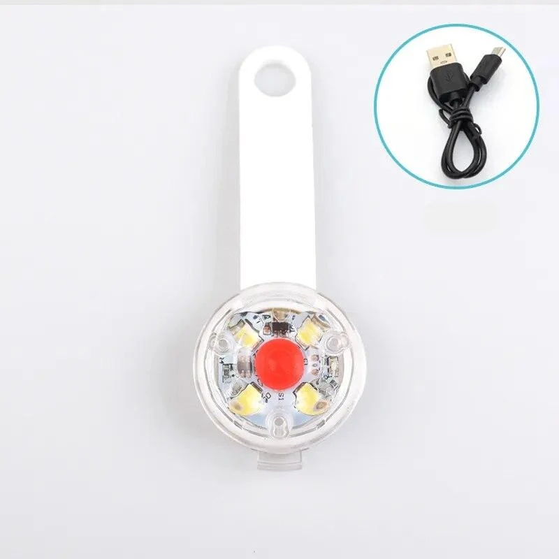 Pendentif Lumineux pour Chien