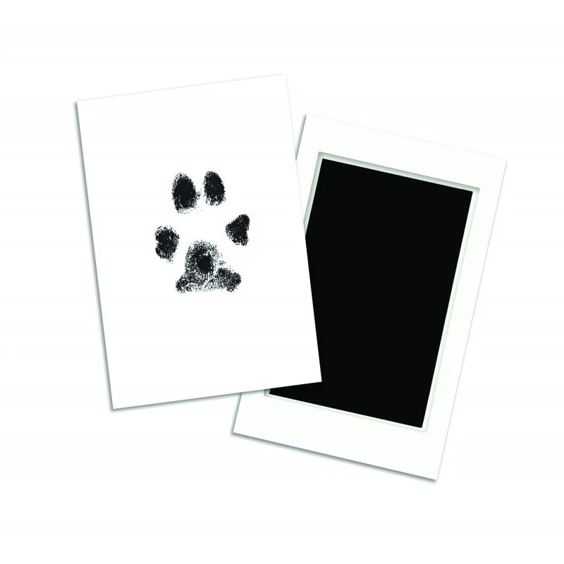 Kit d'empreinte pour chien