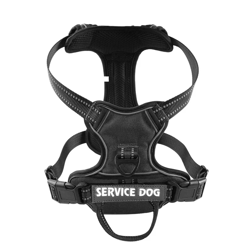 Harnais pour chien personnalisé
