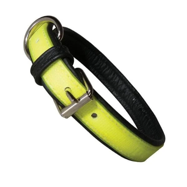 Julius K9 - Collier IDC Lumino