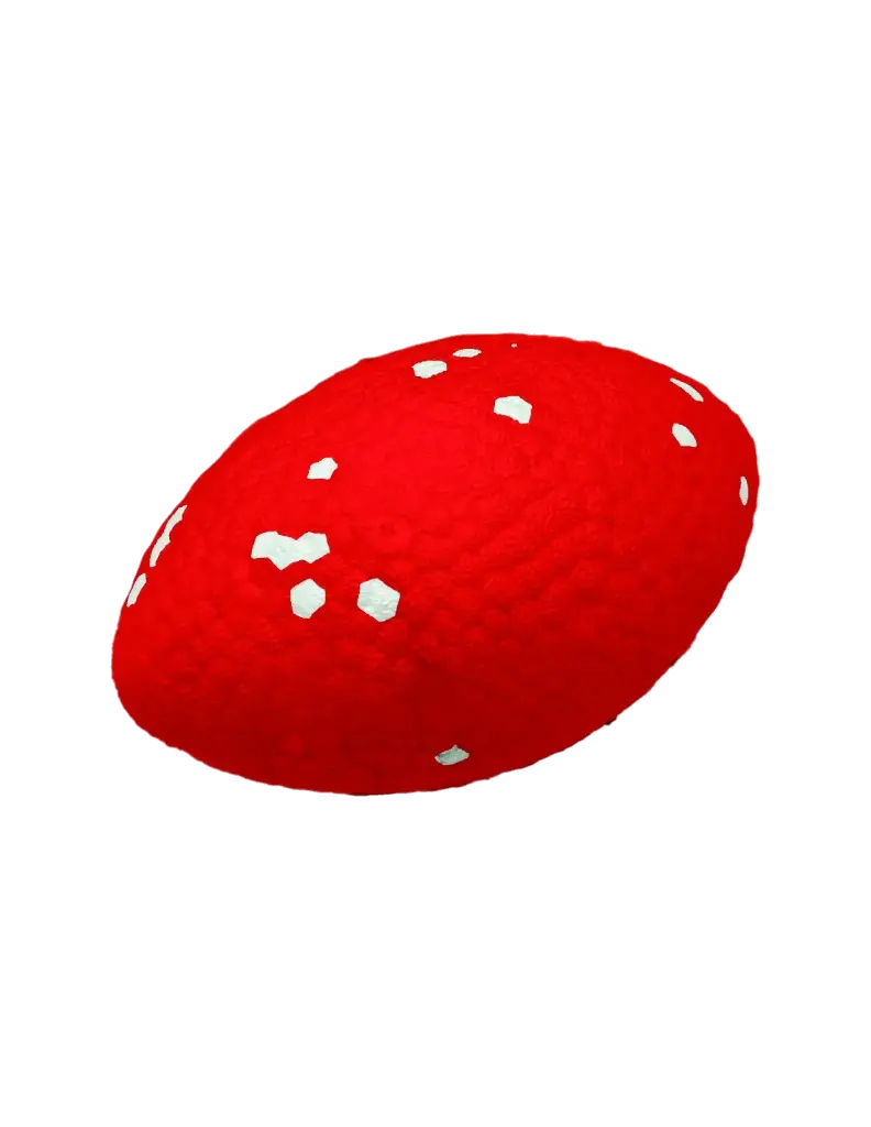 Ultra Strong ballon de rugby E-TPU
