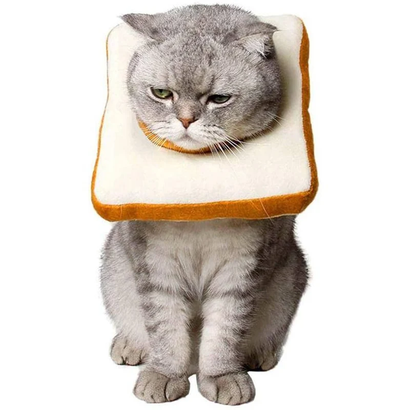Collerette Peluche en forme de Toast