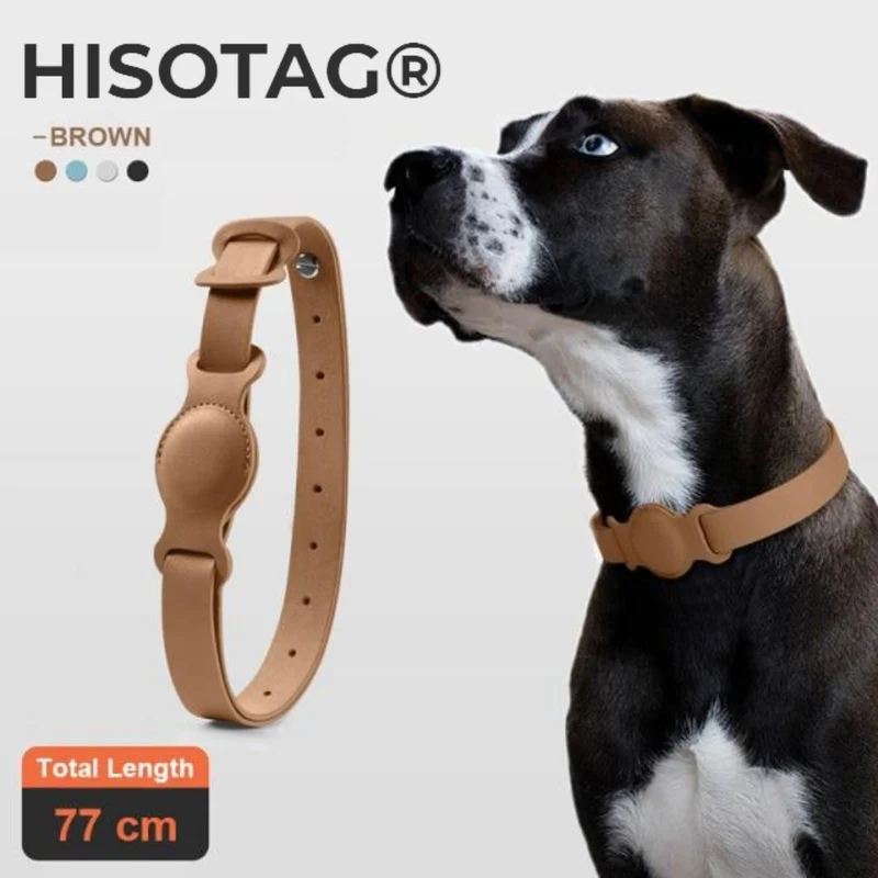 Collier Premium Hisotag® pour Chien