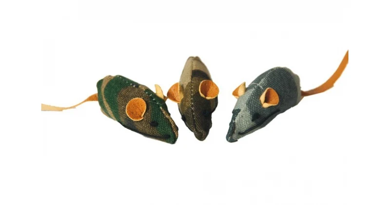 Souris Catnip camouflage