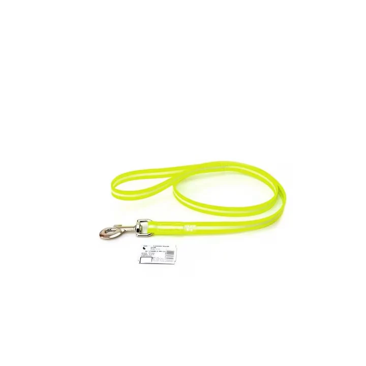 Laisse pour chien Lumino
