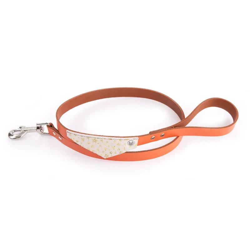 Martin Sellier - Chien - Laisse cuir Miami et bandana